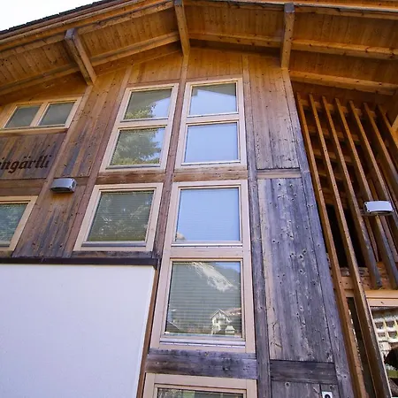 Steingaertli 1 Wengen