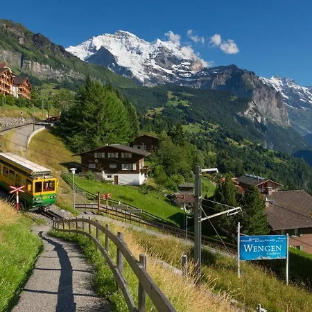 Steingaertli 1 Wengen
