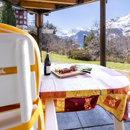 Steingaertli 1 * Wengen