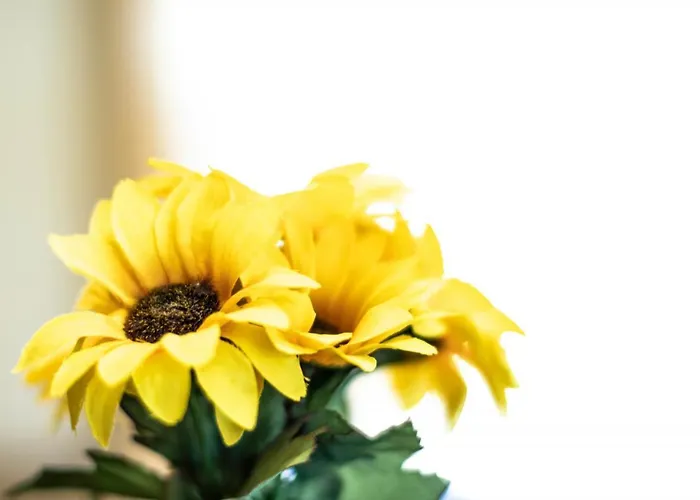 Steingaertli 1 Lejlighed *