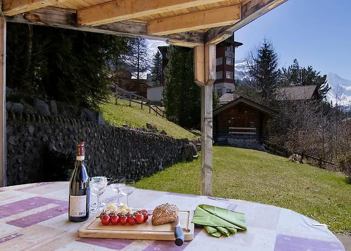 Steingaertli 1 Lejlighed *