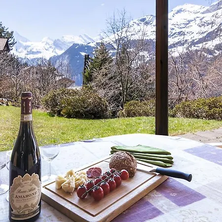 아파트 Steingaertli 1 벤겐